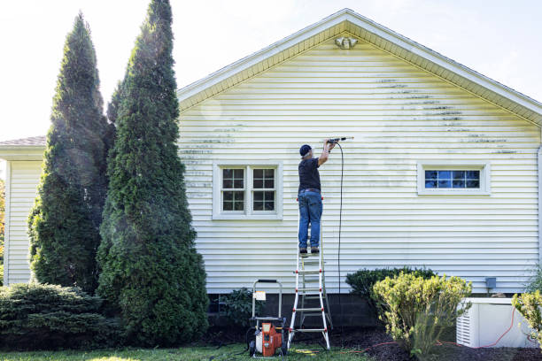 Best Sidewalk and Walkway Cleaning  in Greentree, NJ